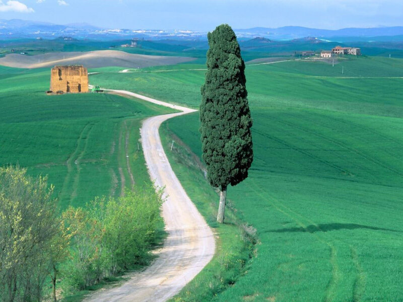 Winding Road in Tuscany — Green