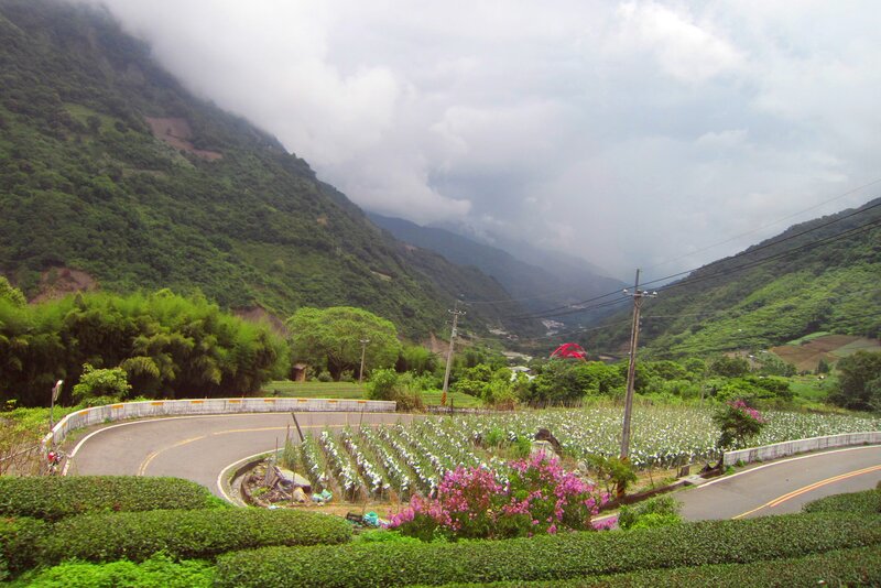 Winding Road in Valley — Green, Serene, Afternoon, Photograph, Mountain