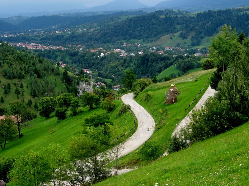 Winding Road in Valley — Green, Serene, Afternoon, Photograph