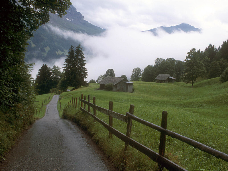 Winding Road in Valley — Green, Serene, Morning