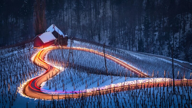 Winding Road in Vineyard