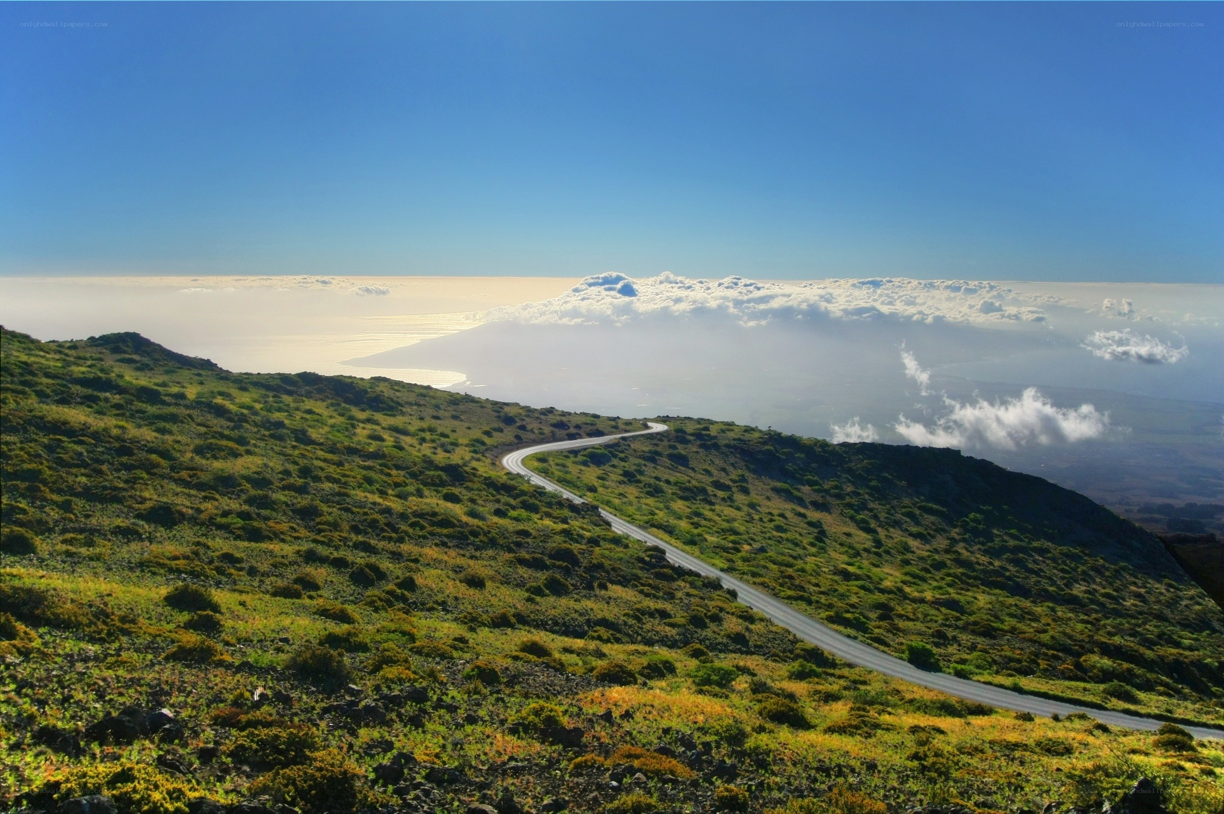 Winding road on a green hillside