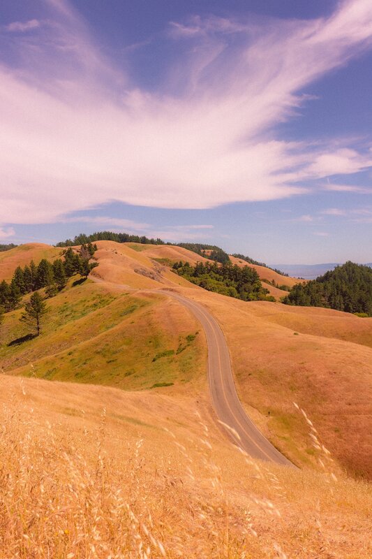 Winding Road on Hills — Brown