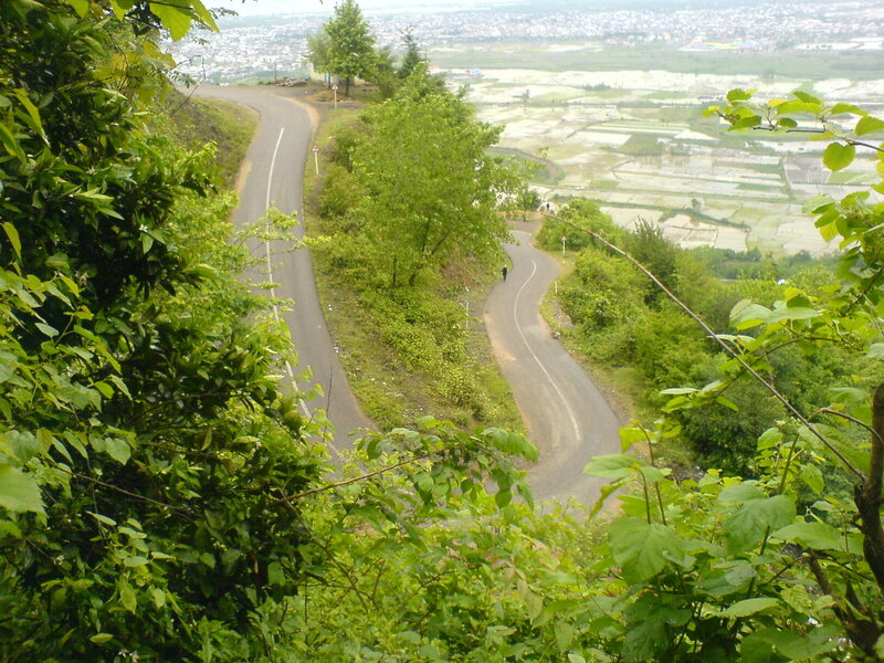 Winding Road on Hillside — Green, Serene, Afternoon, Photograph