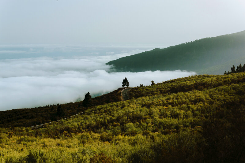 Winding Road on Hillside — Green, Serene