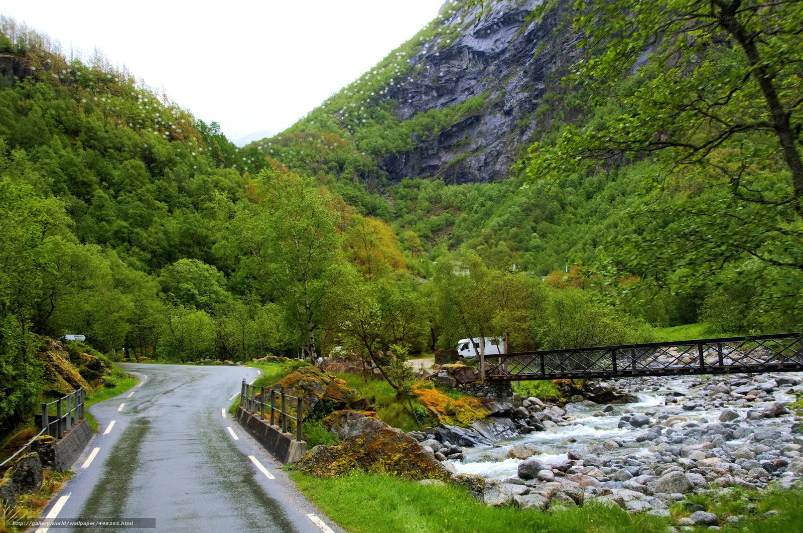 Winding road through a green valley