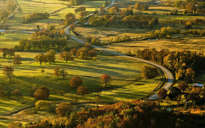 Winding Road Through Autumn Fields
