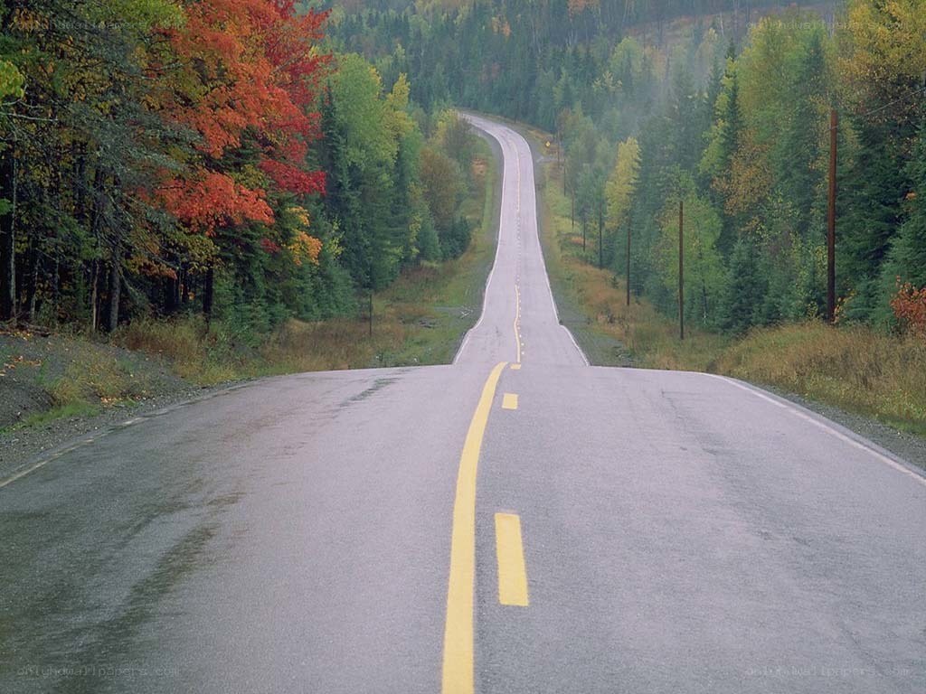 Winding road through autumn forest