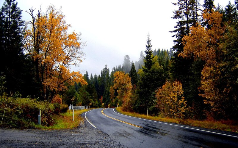 Winding road through autumn forest