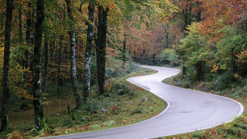Winding road through autumn forest