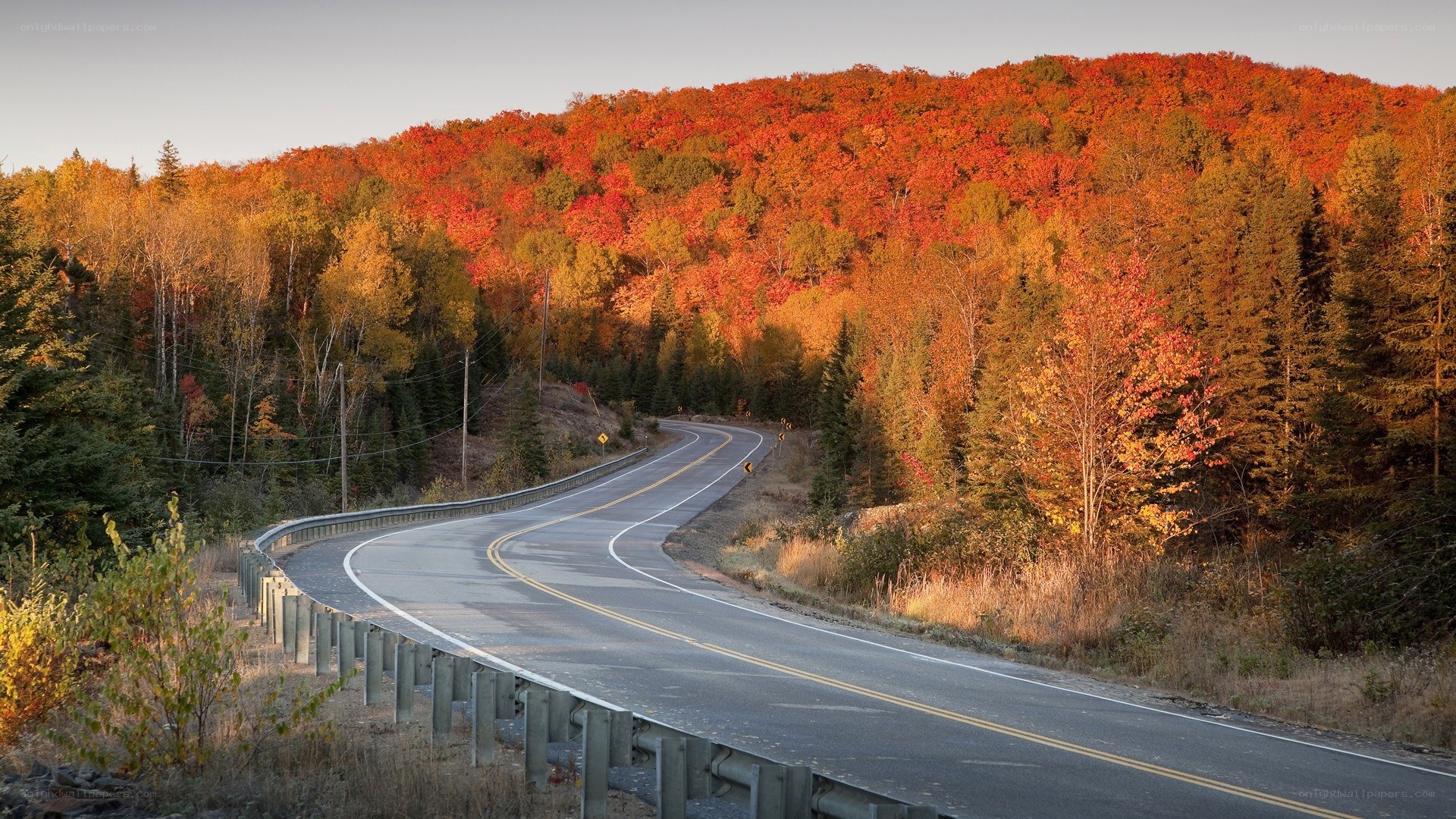 Winding road through autumn forest