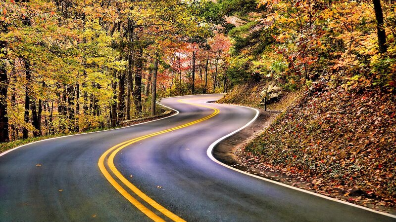 Winding road through autumn forest