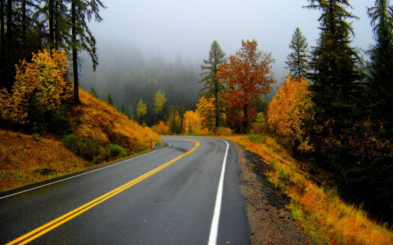 Winding road through autumn forest