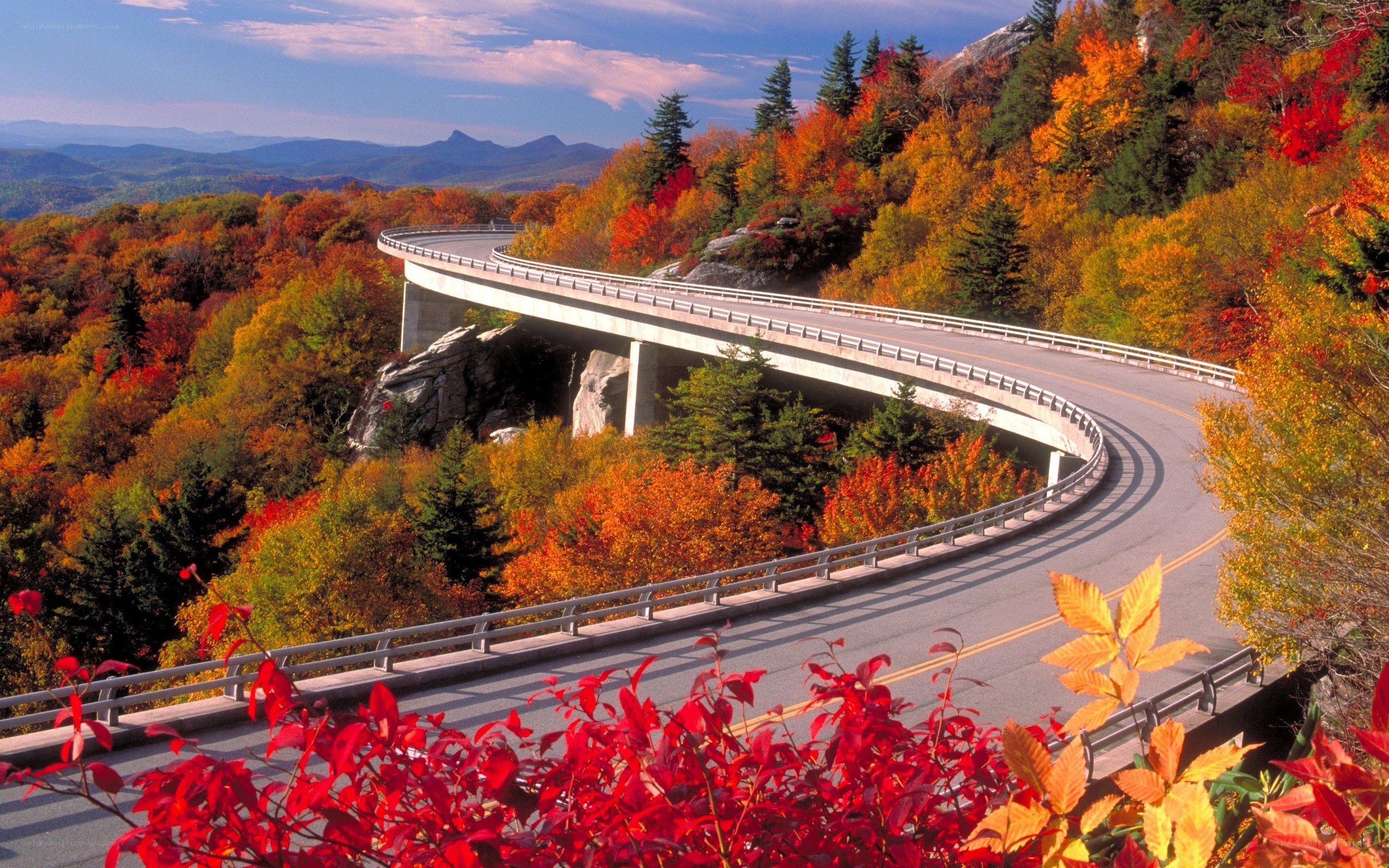 Winding road through autumn forest
