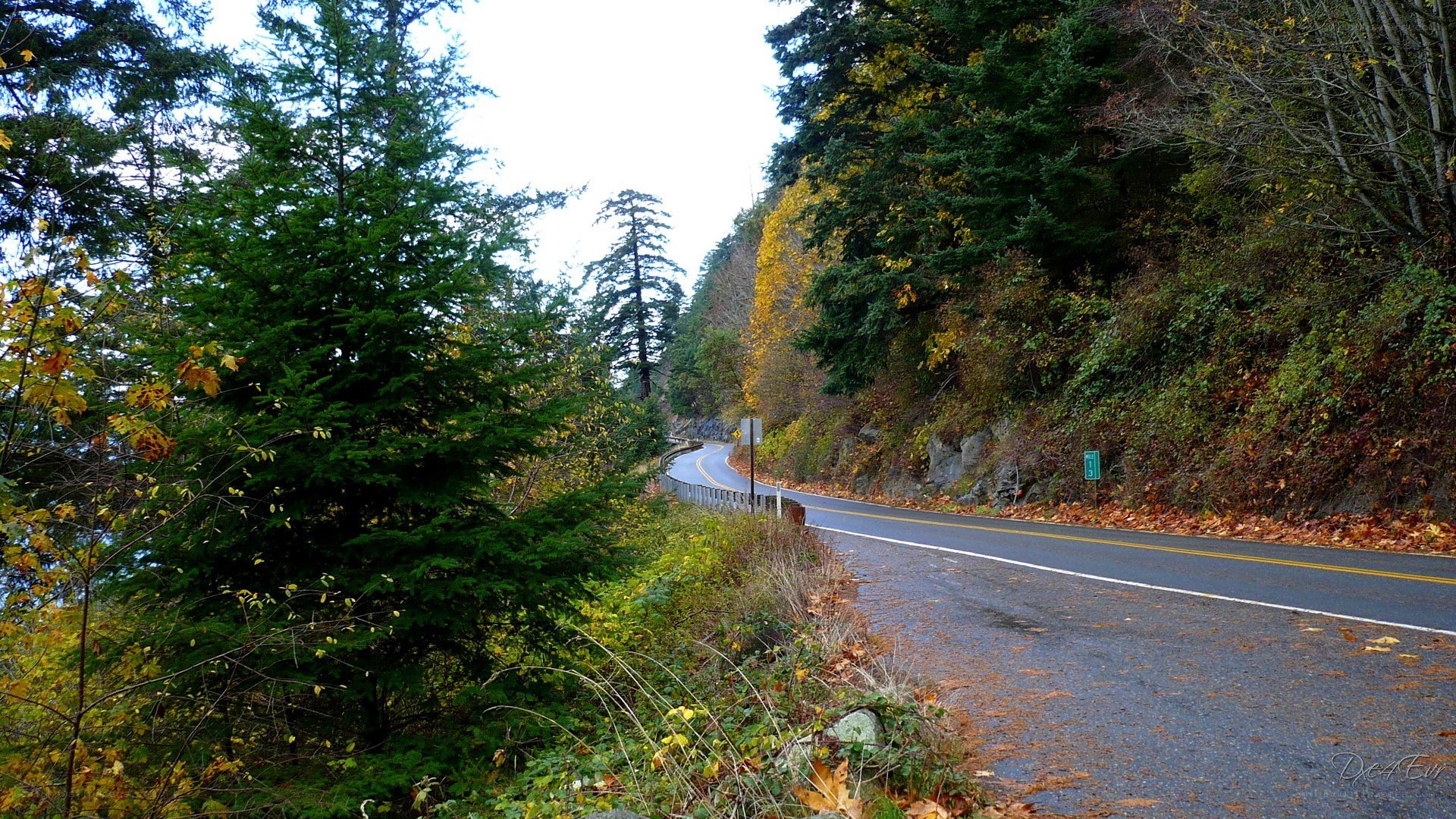 Winding road through autumn forest