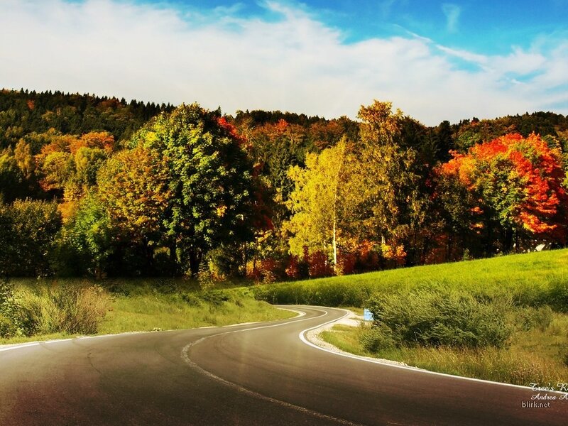 Winding road through autumn forest