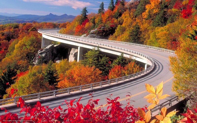 Winding road through autumn forest