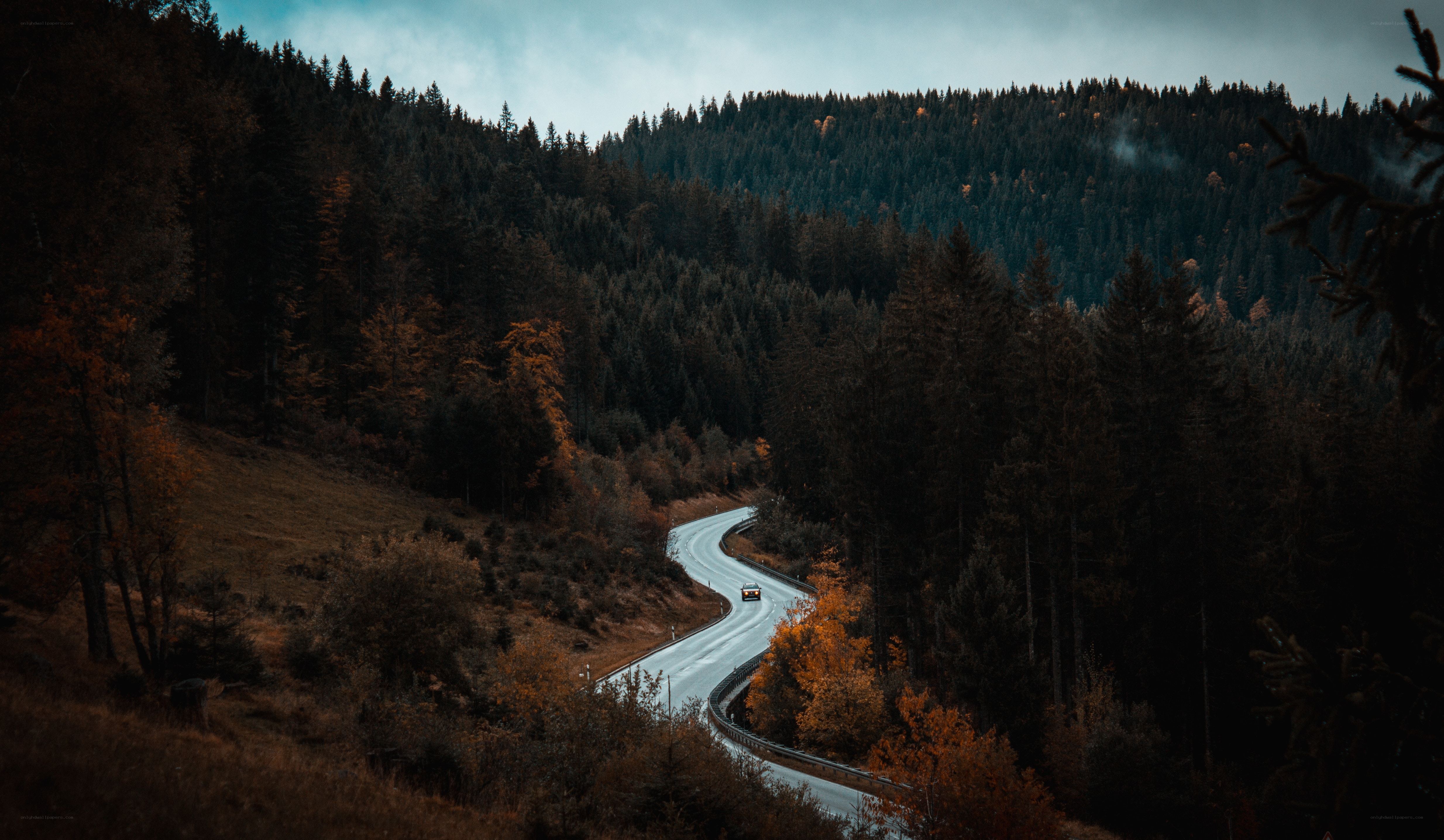 Winding road through autumn forest
