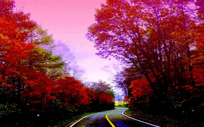 Winding Road Through Autumn Forest — Red, Dramatic