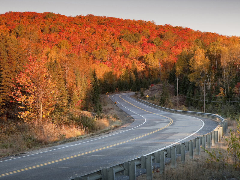Winding Road Through Autumn Forest — Red