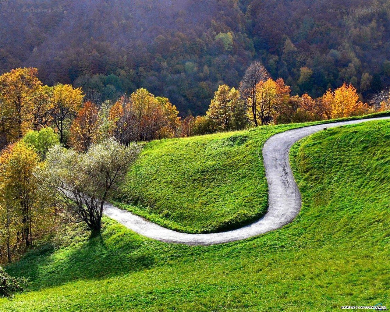 Winding road through autumn hills