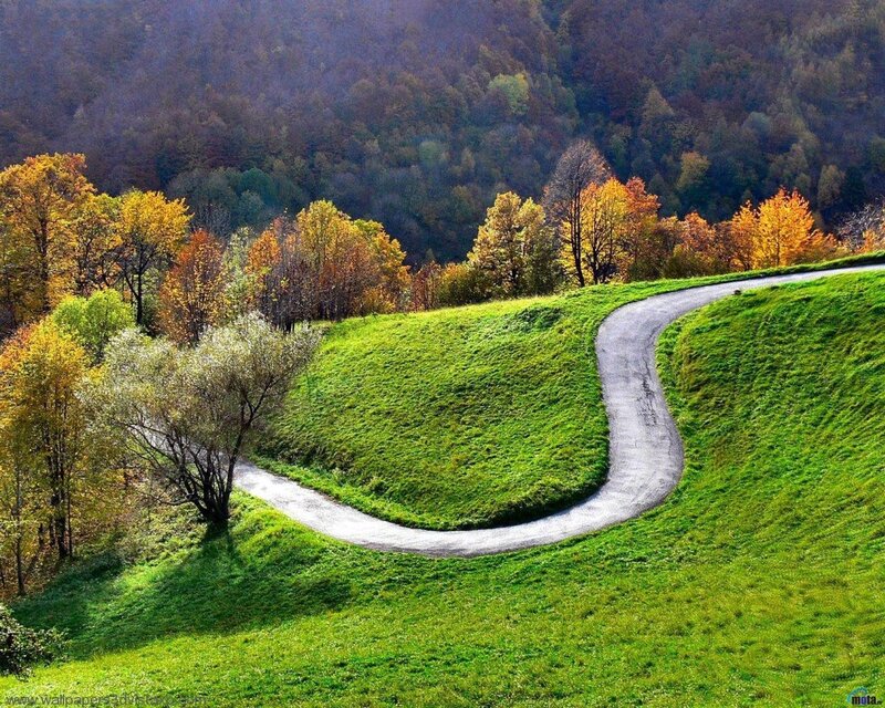 Winding road through autumn hills