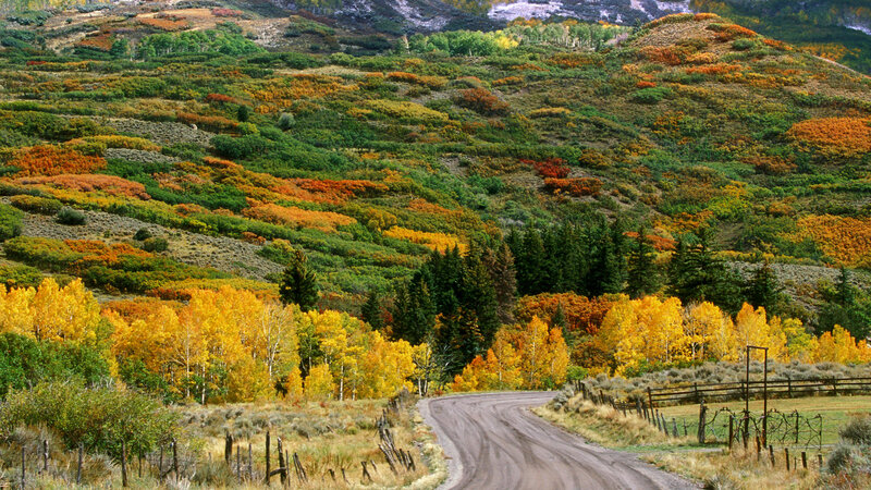 Winding Road Through Autumn Hills — Yellow