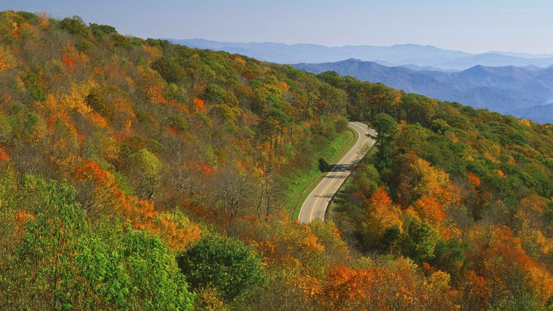 Winding road through autumn mountains