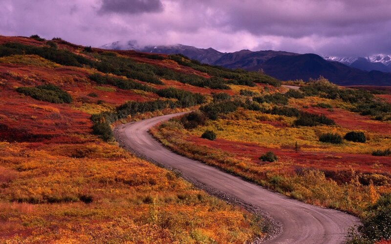 Winding road through autumn tundra