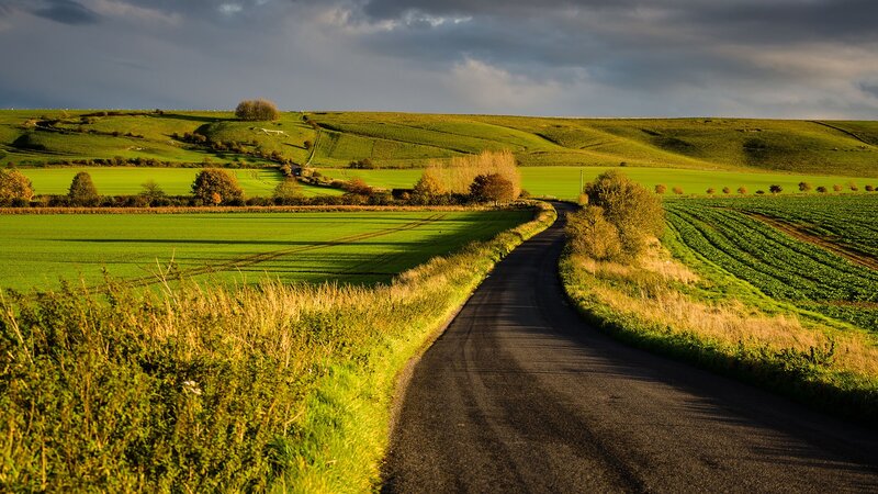 Winding Road Through Fields — Green, Dramatic, Sunset, Photograph