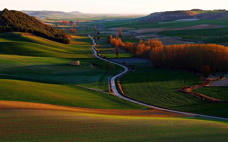 Winding Road Through Fields — Green, Serene