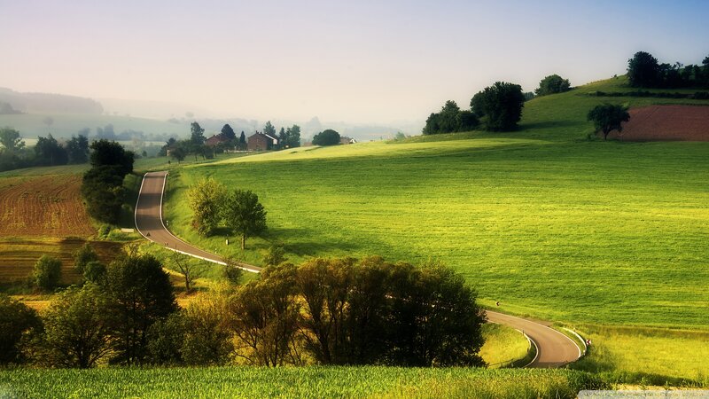 Winding Road Through Fields — Green