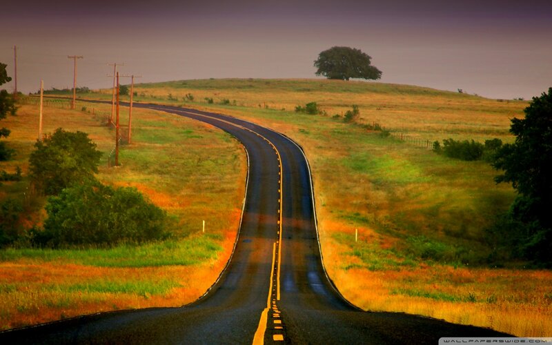 Winding Road Through Fields