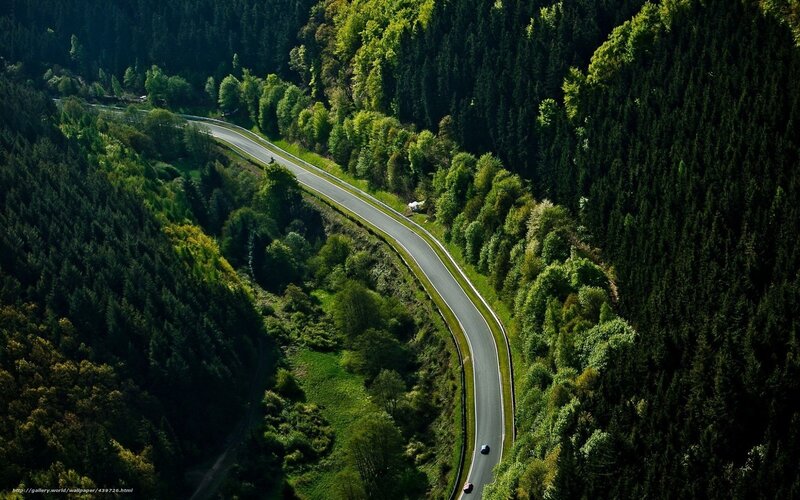 Winding road through forest