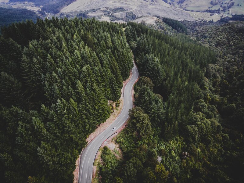 Winding road through forest