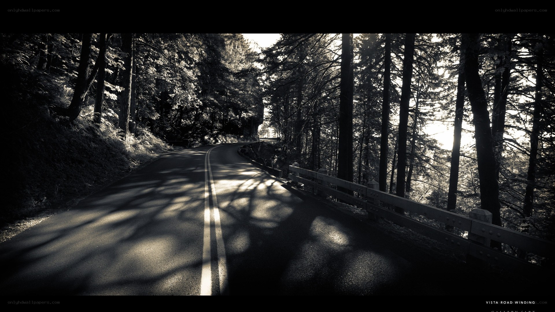 Winding road through forest