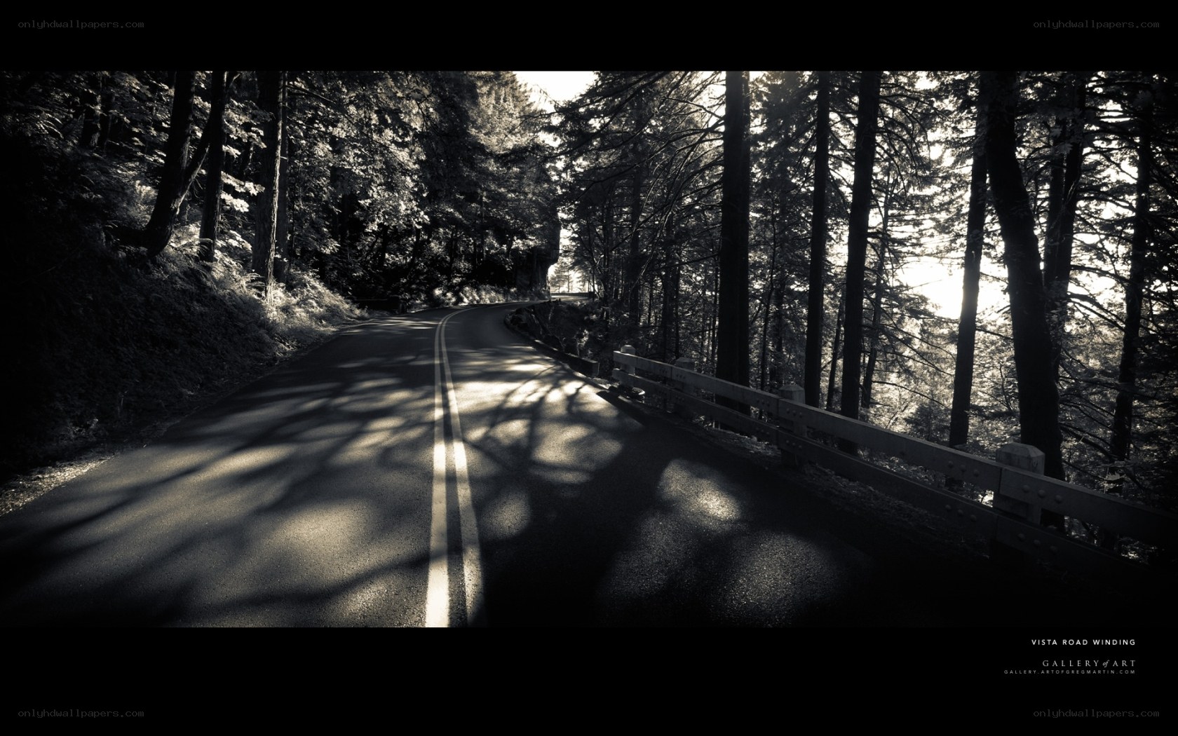 Winding Road Through Forest