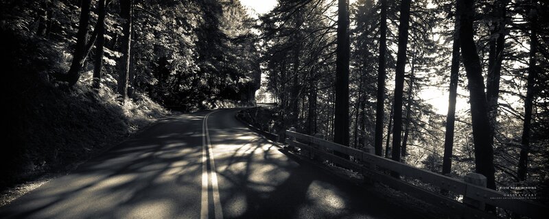 Winding road through forest