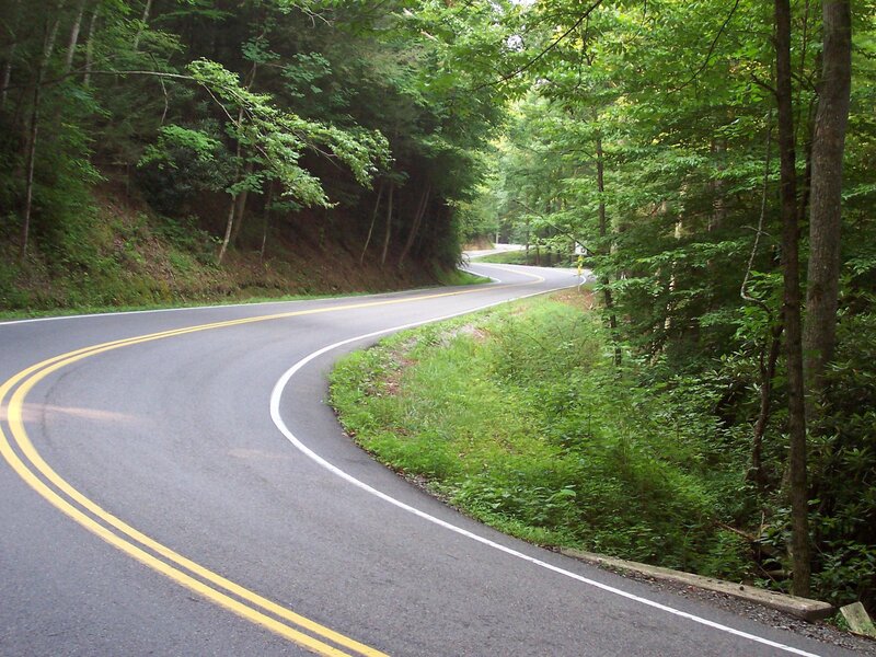 Winding road through forest