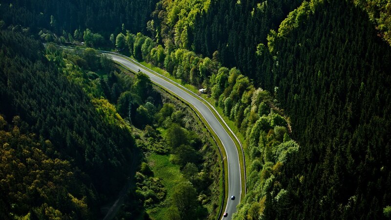 Winding road through forest