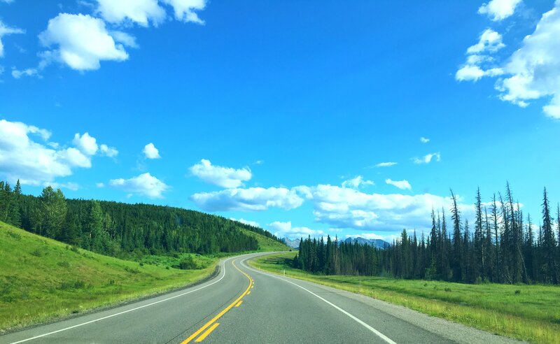 Winding Road Through Forest — Blue, Serene, Afternoon