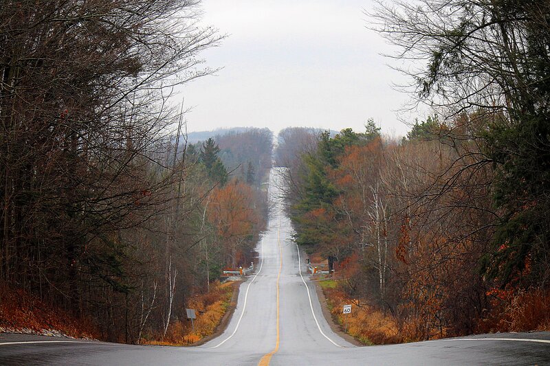 Winding Road Through Forest — Gray