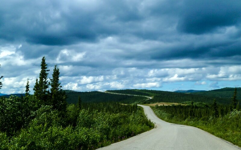 Winding Road Through Forest — Green, Dramatic, Afternoon