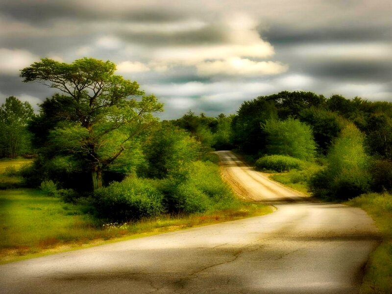 Winding Road Through Forest — Green, Dramatic