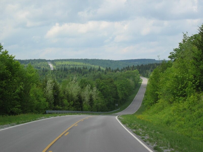 Winding Road Through Forest — Green, Serene, Afternoon, Photograph, Trees, Hills