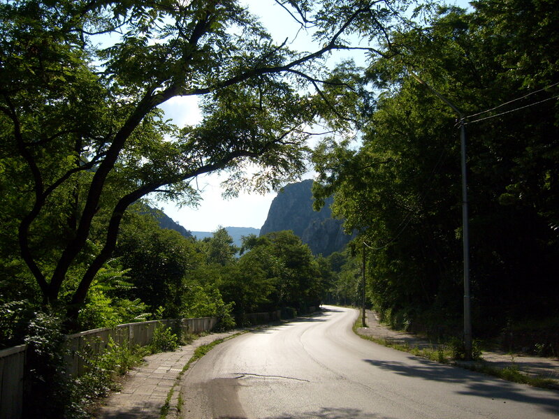 Winding Road Through Forest — Green, Serene, Afternoon