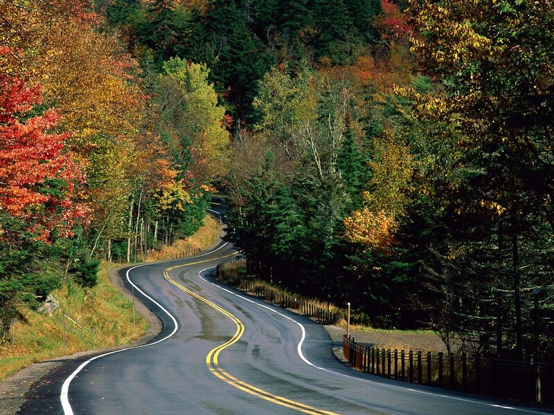 Winding Road Through Forest — Green, Serene, Autumn, Photograph, Trees, Guardrail