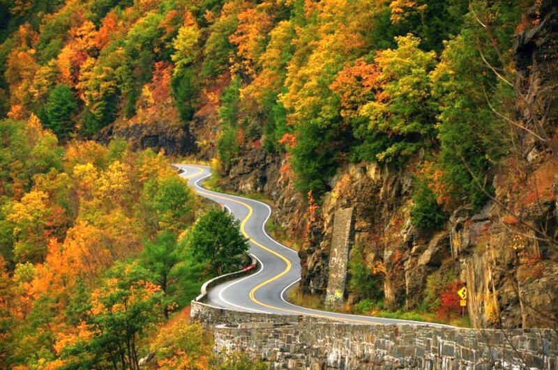 Winding Road Through Forest — Green, Serene, Autumn
