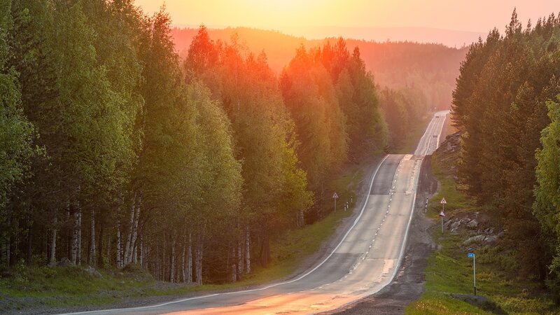 Winding Road Through Forest — Orange, Serene, Sunrise
