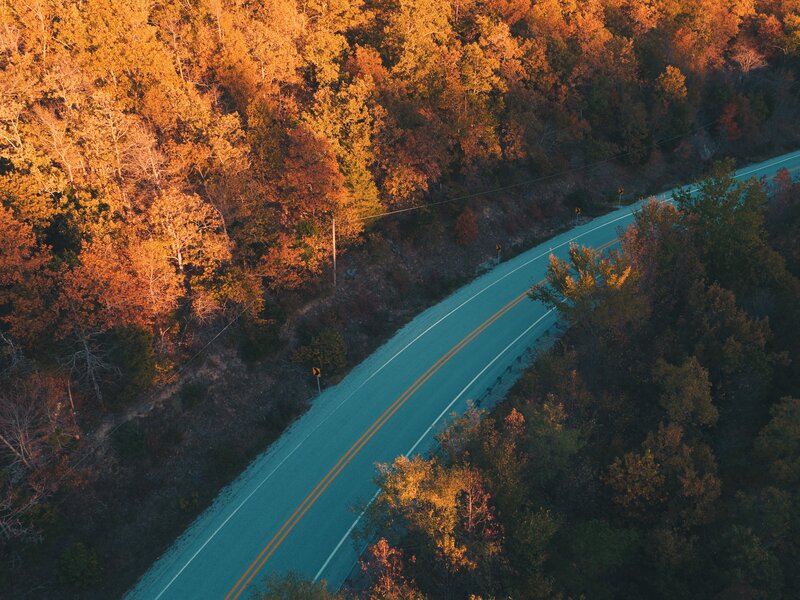 Winding Road Through Forest — Orange, Serene